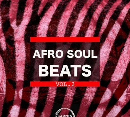 Samples Choice Afro Soul Beats Vol 2 WAV